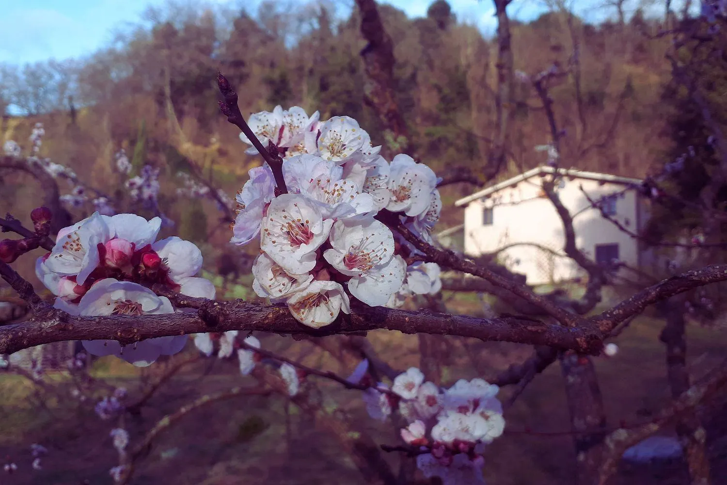 A'Loro B&B Terranuova Bracciolini Bed & Breakfast